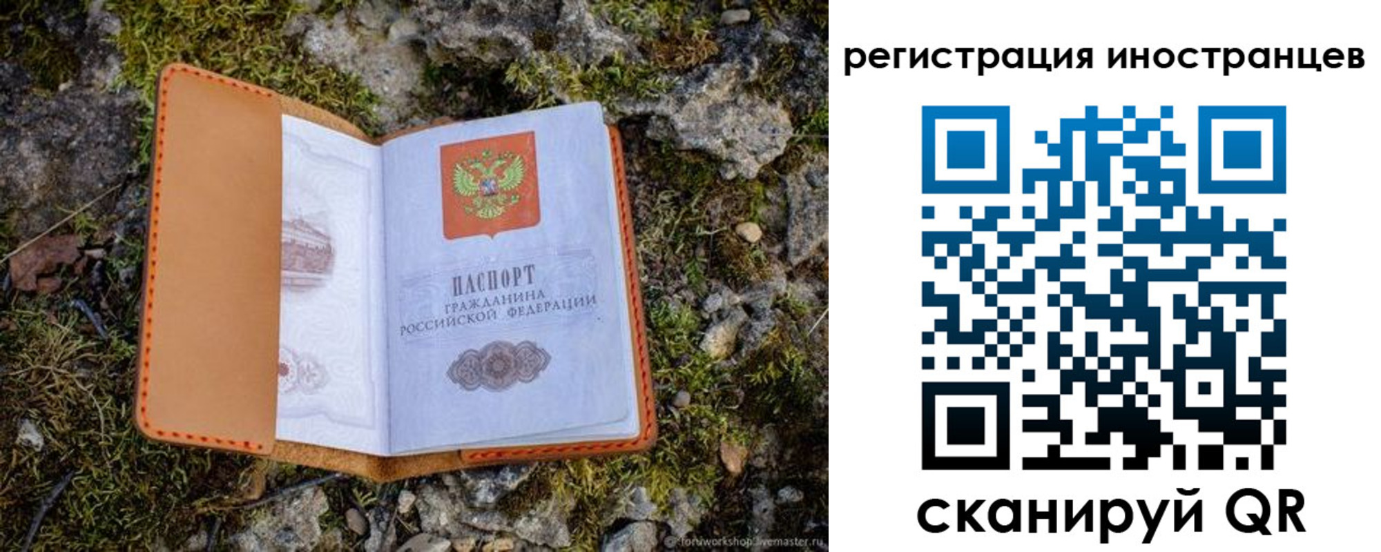 прописка паспорт в Михайловске